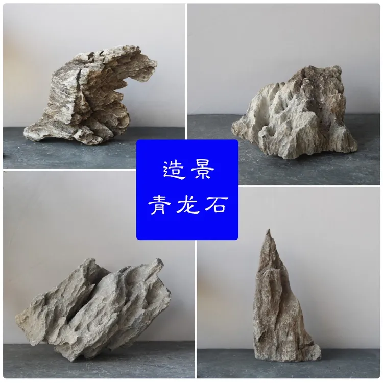 英德石青龙石一石成景鱼缸假山石桌面装饰石头园艺盆景造景真石头
