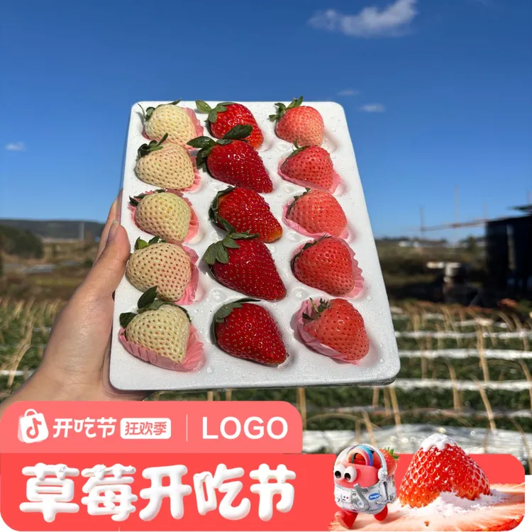 【草莓开吃】云南高原三生石随机三拼草莓送货上门