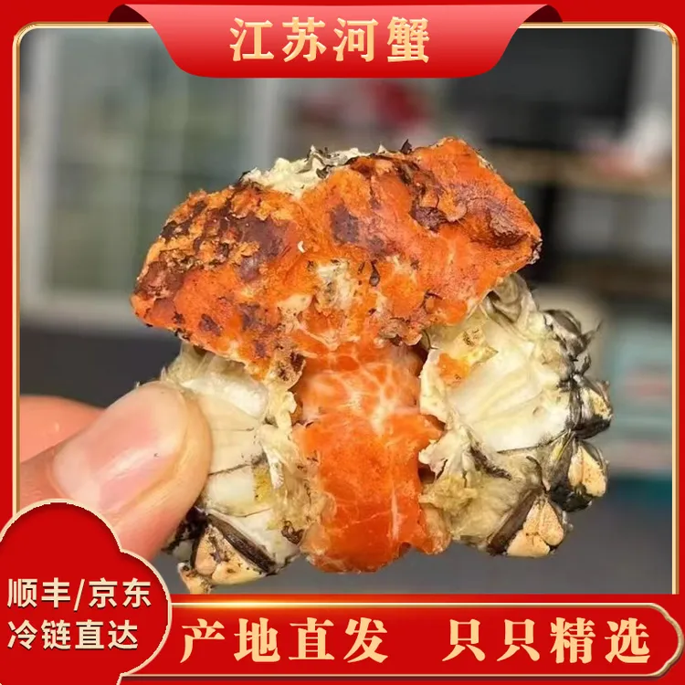 k【江苏活蟹】全母30只单只1.1-0.8两顺丰冷链江苏河蟹活蟹不绑绳