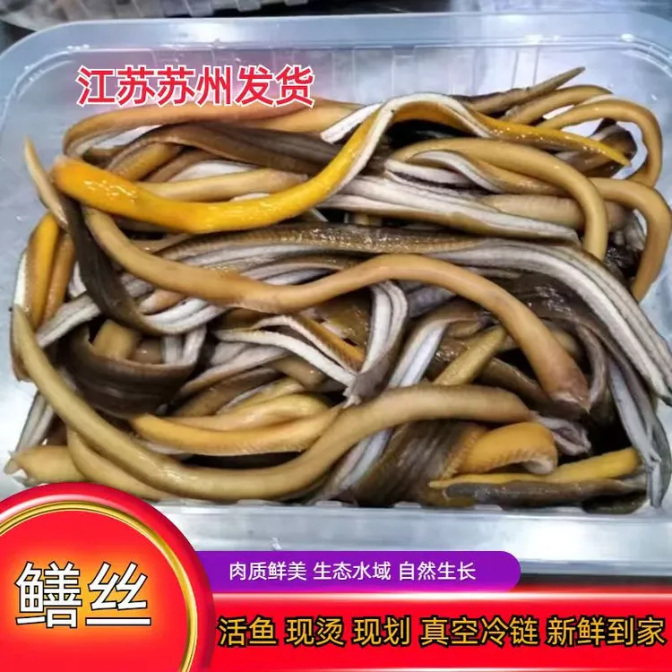黄鳝丝 软兜 长鱼丝 响油鳝丝 临江鳝丝 鳝丝面 鲜活宰杀