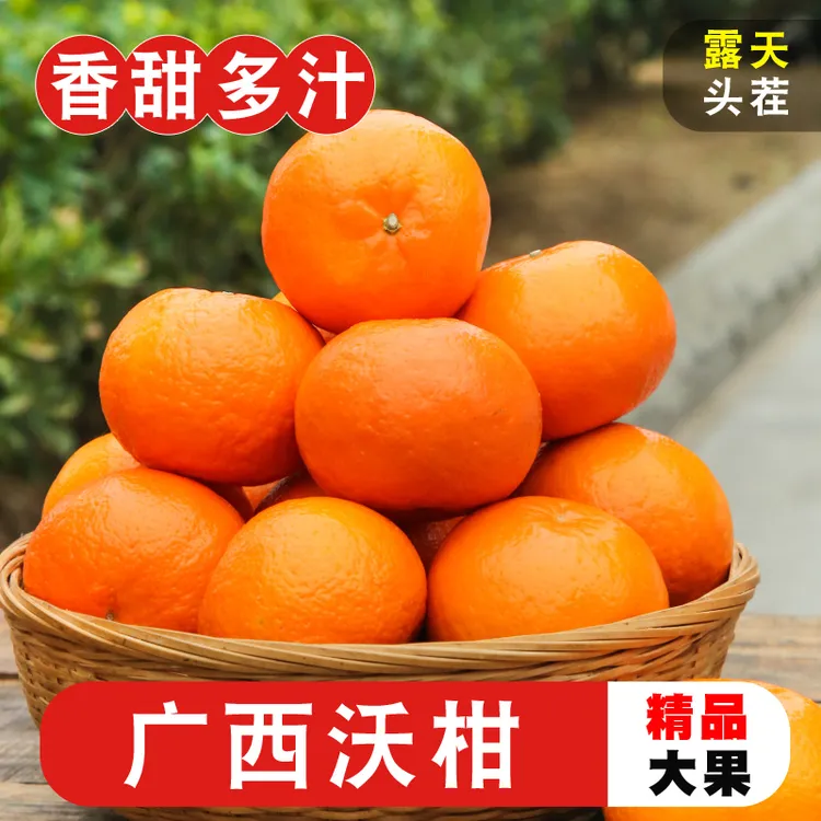 广西武鸣沃柑当季新鲜水果皮薄多汁香甜柑橘采摘花皮5/9斤整箱