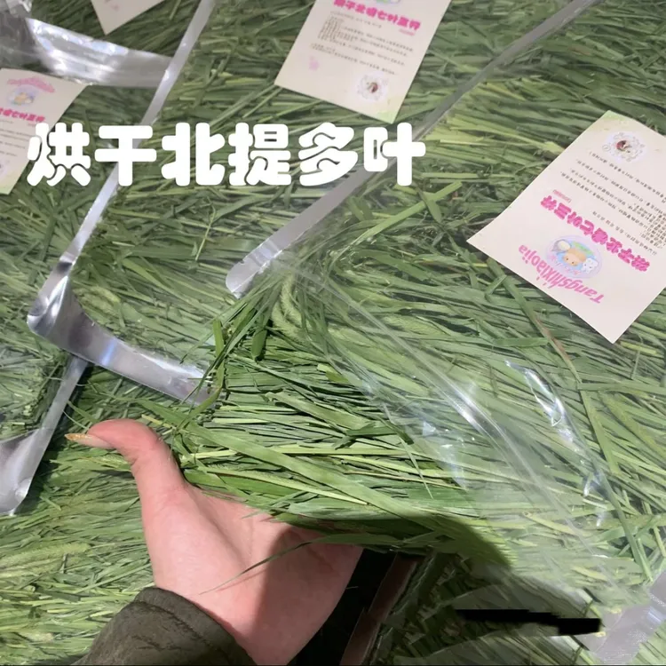 优质提摩西草兔子龙猫荷兰猪兔子草兔粮外出磨牙专用干草牧草宠物