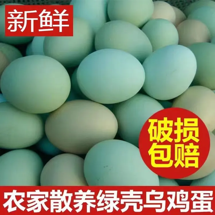 【助农】【现捡现发】新鲜绿壳农家散养土鸡蛋山林乌鸡蛋正宗草鸡蛋
