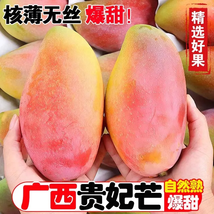 正宗广西百色贵妃芒新鲜应季水果 红金龙芒果产地直发核薄多汁J
