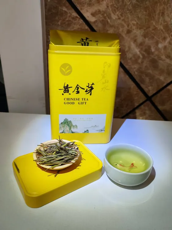 和家春黄金芽汤色透亮入口回甘花香型耐泡