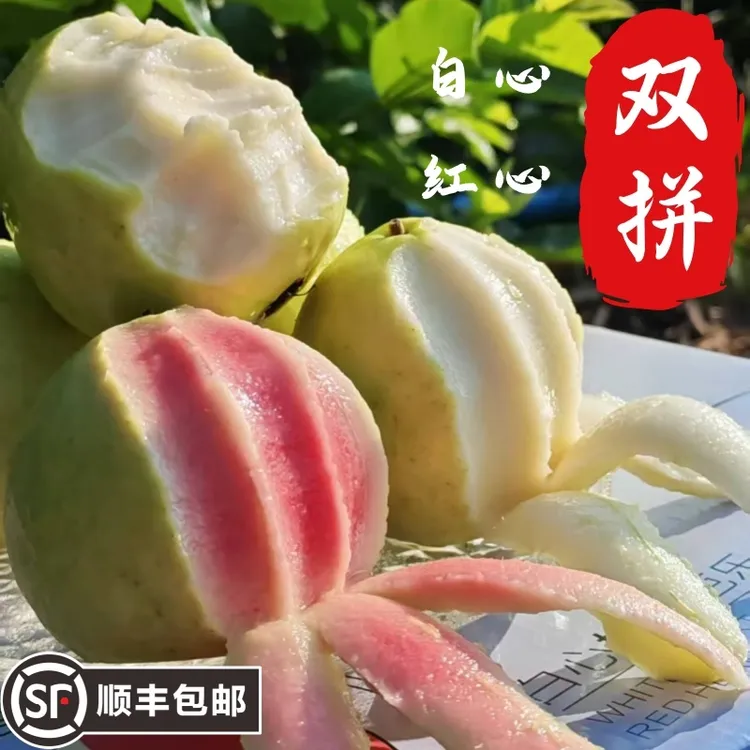 顺丰发货现摘新鲜广西红心白心芭乐番石榴水果正宗红心芭乐