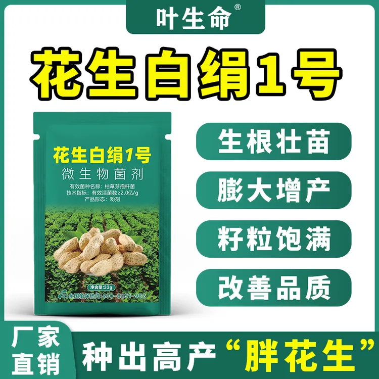 花生专用微生物菌剂花生白绢1号提质增产补充营养