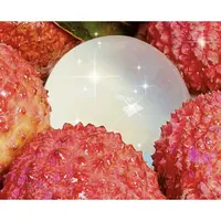 【御膳】 荔枝果冻 清爽水果