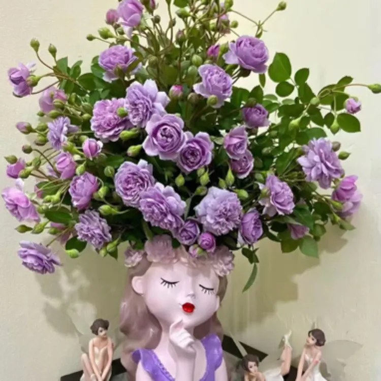 爬藤月季灌木蓝色阴雨2加仑大苗