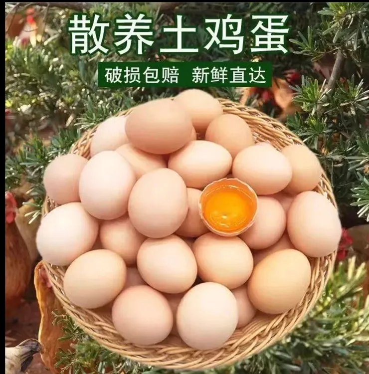 [土鸡蛋60枚]农家草鸡蛋蟹塘散养跑塘鸡纯粮食喂养