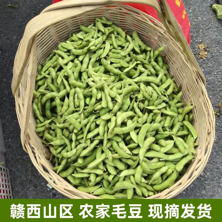新鲜毛豆赣西山区农家毛豆产地直发新鲜带壳毛豆鲜嫩好吃当季蔬菜