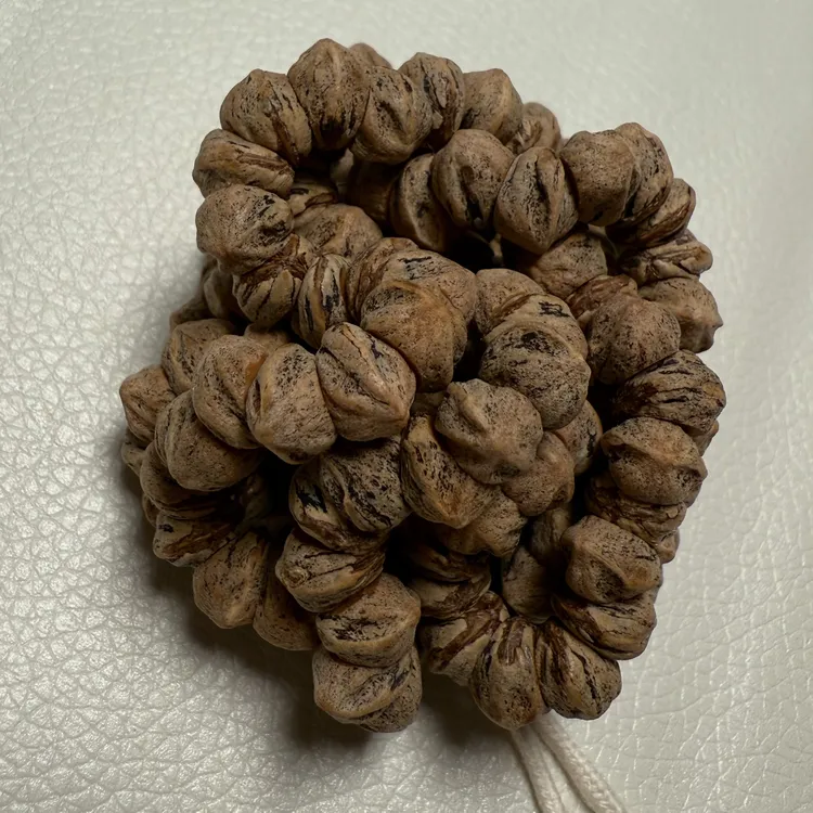 尘迹甄选 热振柏香籽藏式横打桩型长串红芽口大角度大肠水晶皮