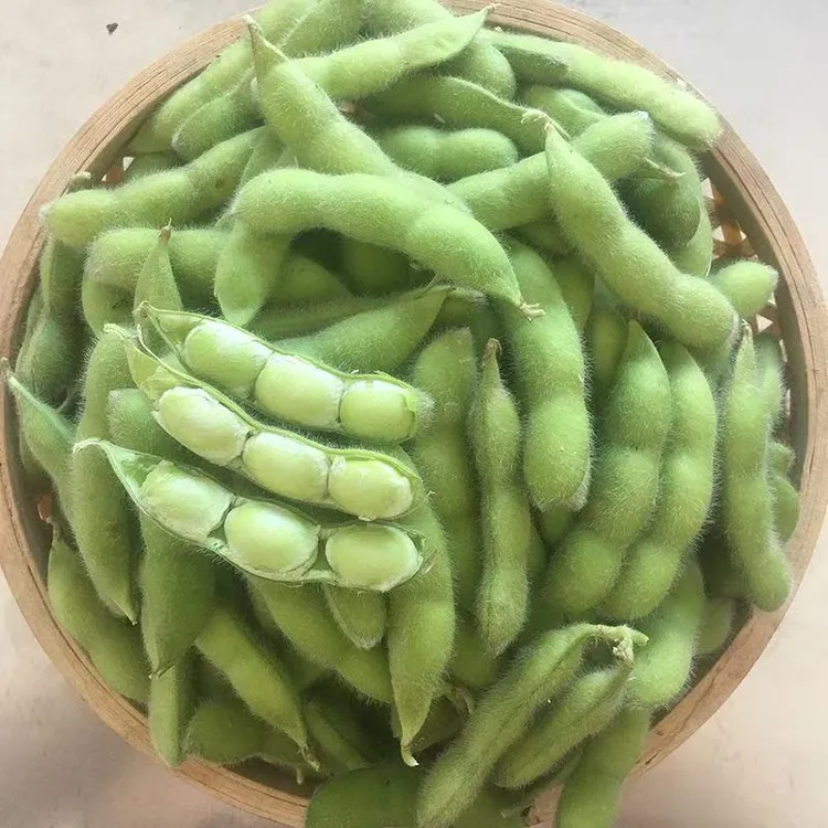 安徽2025新鲜带壳毛豆下载的自然选择产品保证