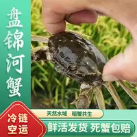 【活蟹】盘锦河蟹（1-1.3）两公蟹25只鲜活发货顺丰包邮