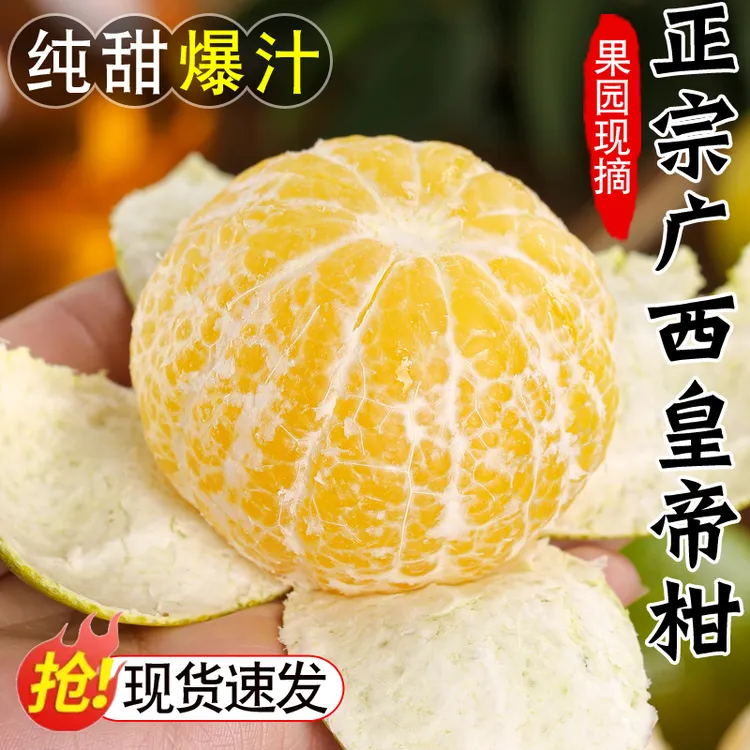 正宗广西皇帝柑3/5/9斤新鲜水果当季现摘沃柑橘子香甜贡柑大蜜桔