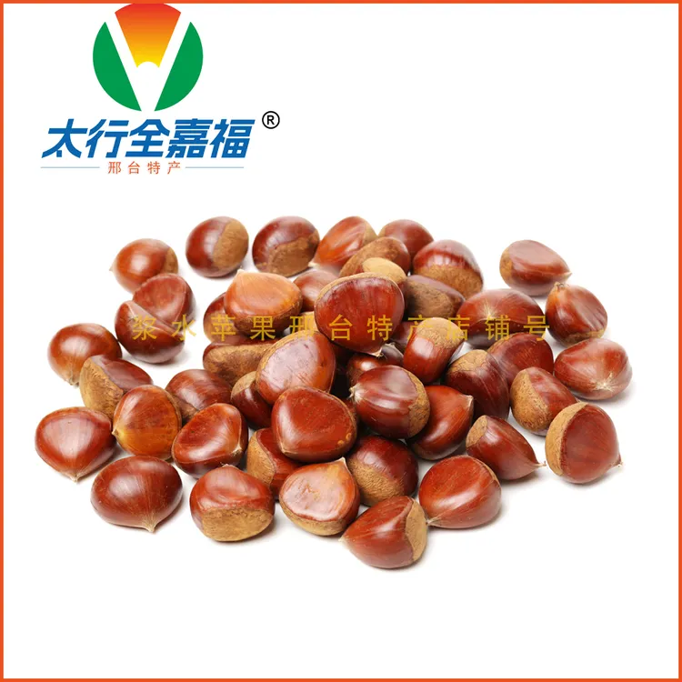 邢台特产浆水板栗2025新鲜板栗饱满均匀香甜糯口家乡特产