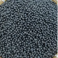 2025年沂蒙山新下农家黑豆自然晾晒