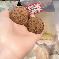 文玩核桃把件非嫁接元宝