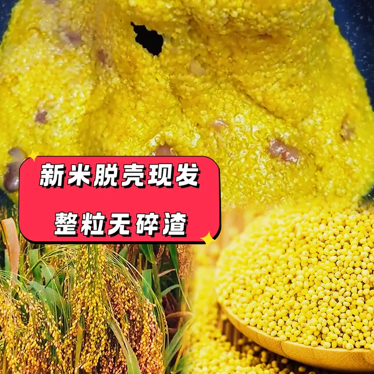 精选2025秋收新大黄米粘糯饱满圆润金黄包粽子做黄米饭粗粮糕点