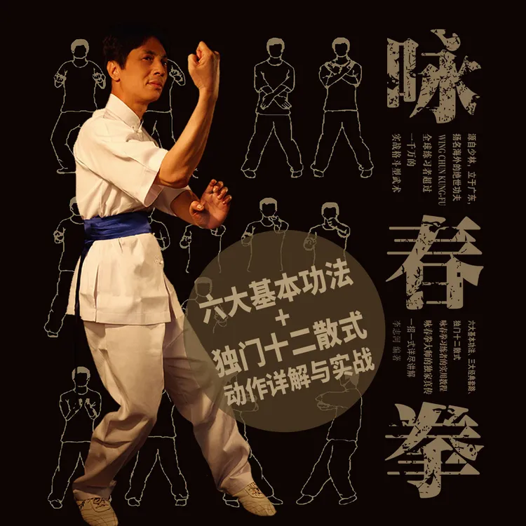咏春拳六大基本功&三大经典套& 秘传十二散式，技击视频课