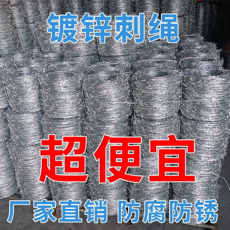 防盗防爬带刺铁丝网围栏网围墙防锈刺绳钢刺丝刺网铁蒺藜防护栏网