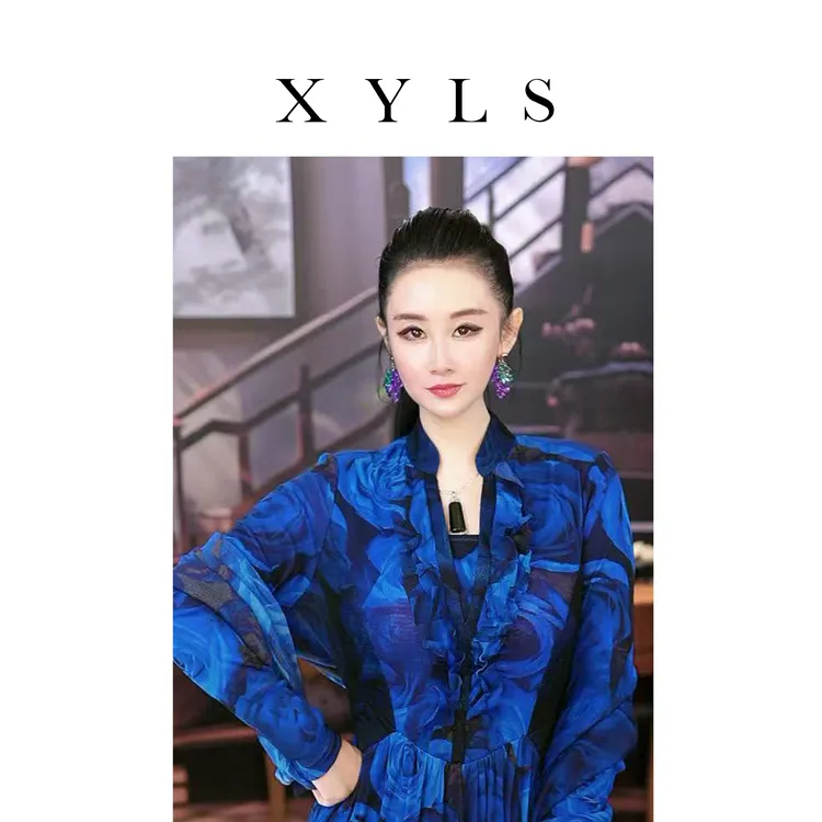 加绒弹力网纱连衣裙秋冬复古T007082