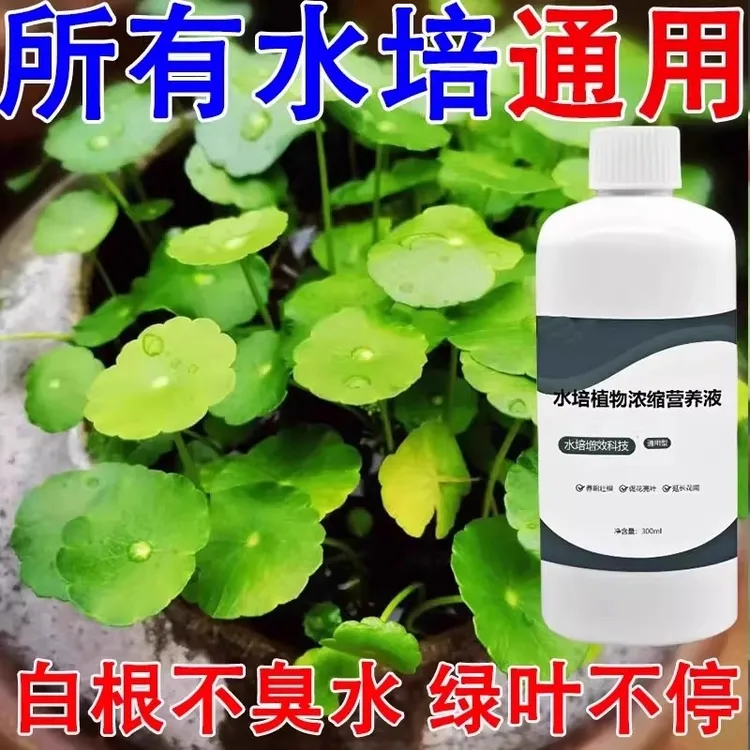 水培植物营养液通用型绿萝富贵竹转运竹碗莲铜钱草发财树专用肥料