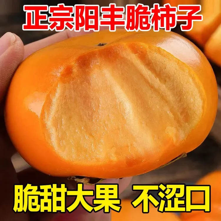 【产地直发ZH】山西阳丰巧克力脆甜柿子新鲜当季水果冰糖心柿子