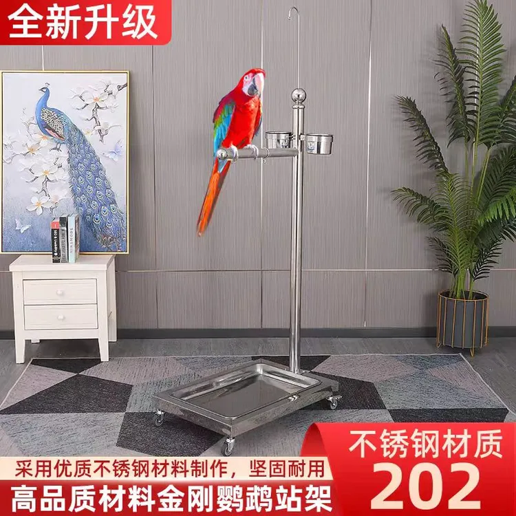 不锈钢灰机鹦鹉站架金刚葵花专用大型鸟用架子落地式特大号展示架