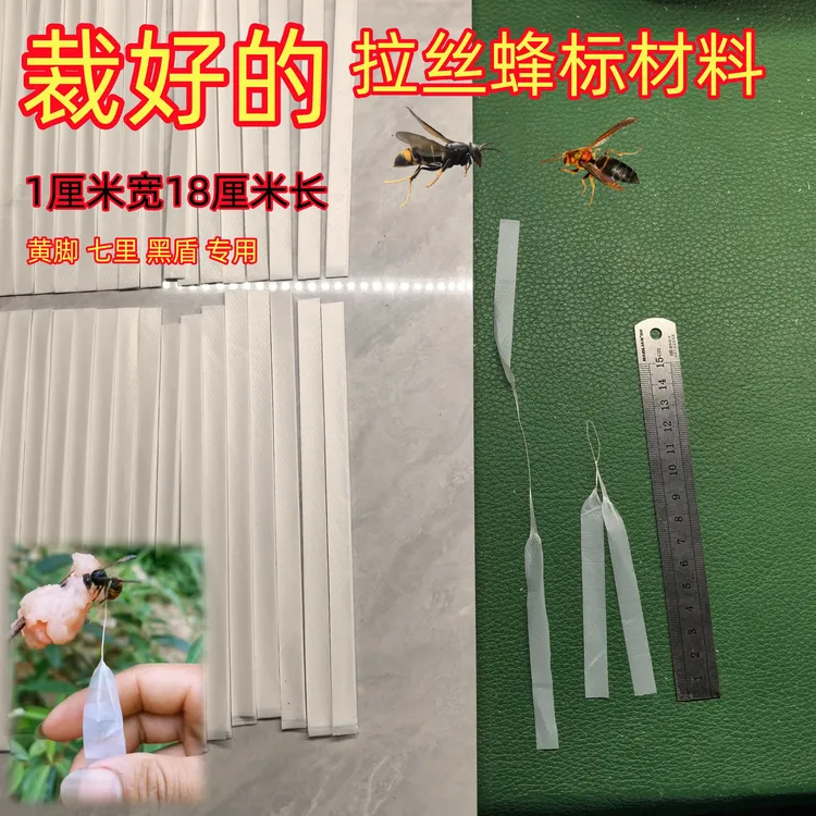 乳白色蜂标材料 反光白蜂标材料 金环黄脚红娘黑尾 追马蜂 好辩认
