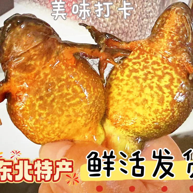 东北河鲜  林蛙雪蛤  黄肚大母豹  满籽满油