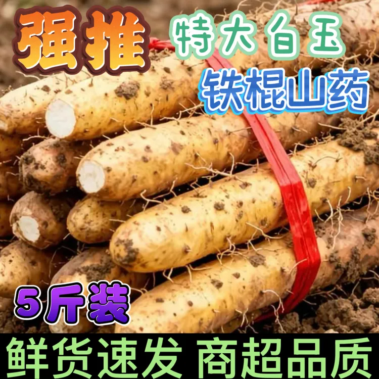 【新鲜现挖】正宗垆土特大铁棍山药软糯怀山药大根甜糯蔬菜鲜挖温县