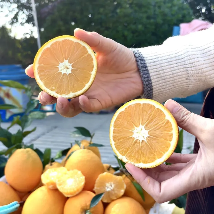 农户自种脐橙酸甜多汁新鲜采摘0添加脐橙