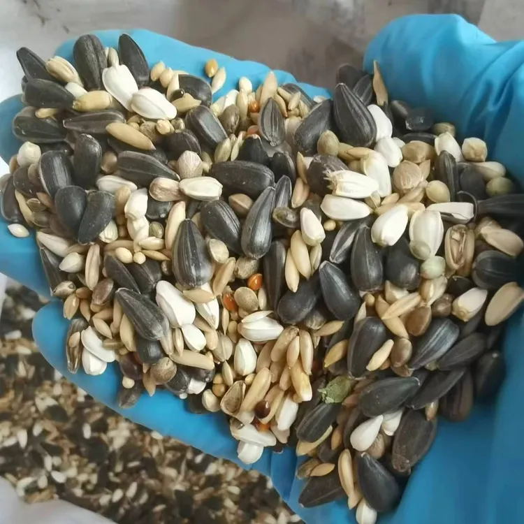 小太阳金太阳鹦鹉专用混合鸟粮蜡嘴鸟粮和尚鹦鹉混合粮鸟食鸟饲料