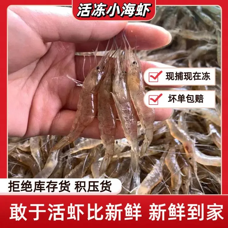 【顺丰冷链】4斤 新鲜小海虾 小白虾小青虾 鲜活速冻 白灼椒盐爆炒