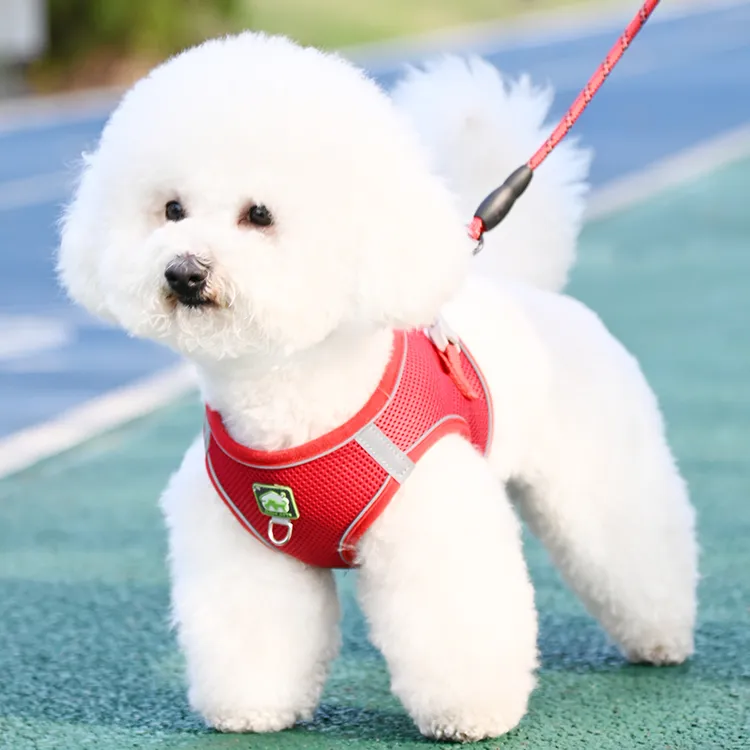背心式狗狗牵引绳小型犬比熊泰迪博美小狗幼犬胸背带狗绳胸背带