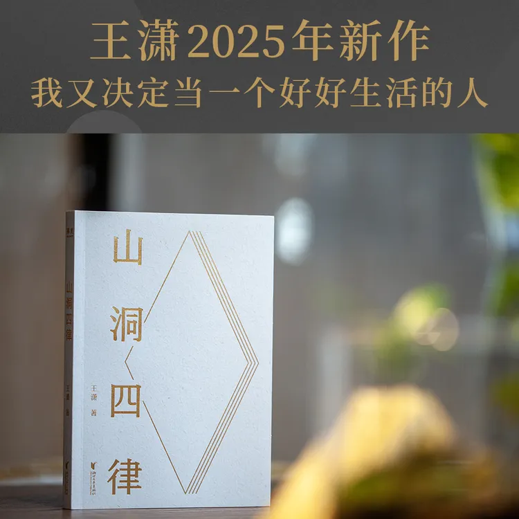 【新华书店】山洞四律     4个招式，16天，助你打败拖延，成为高手