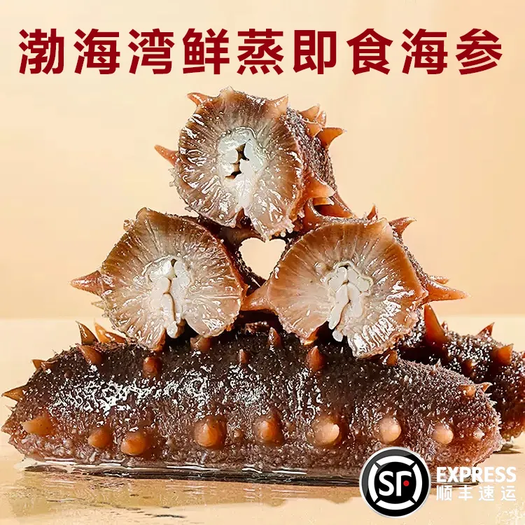 渤海湾即食海参辽刺参16-20头顺丰包邮送货上门