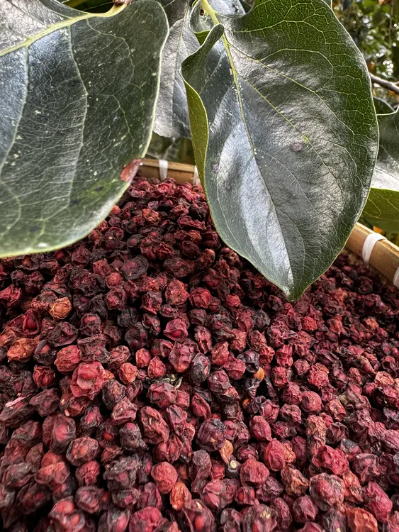 秦岭山货 农家五味子 自然风干秦岭南五味子 无硫无磺