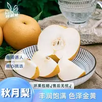 【咔萌兔】山东秋月梨4.5斤中果/大果丰润饱满色泽金黄汁水丰富彩箱