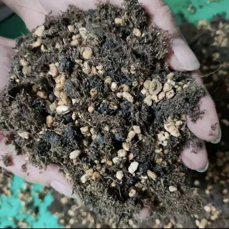 花卉绿植营养土适合多种植物种植