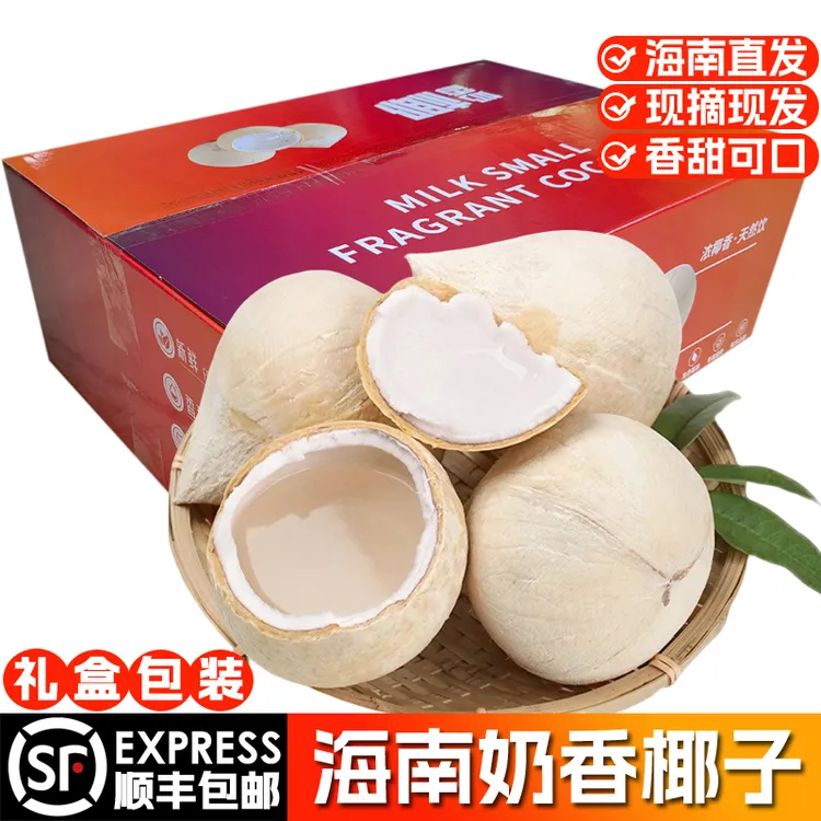 【顺丰空运】海南小奶椰奶香味椰子当季新鲜椰青椰皇礼盒装顺丰包邮