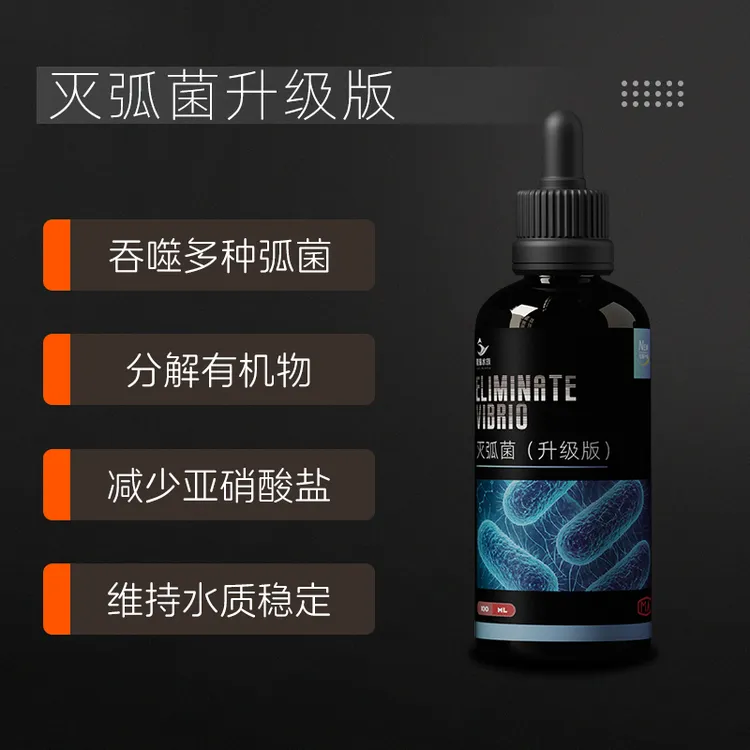 粤海灭弧菌针叶类珊瑚细菌感染布朗冻海水鱼内疾肠炎鱼瘦肚子干瘪