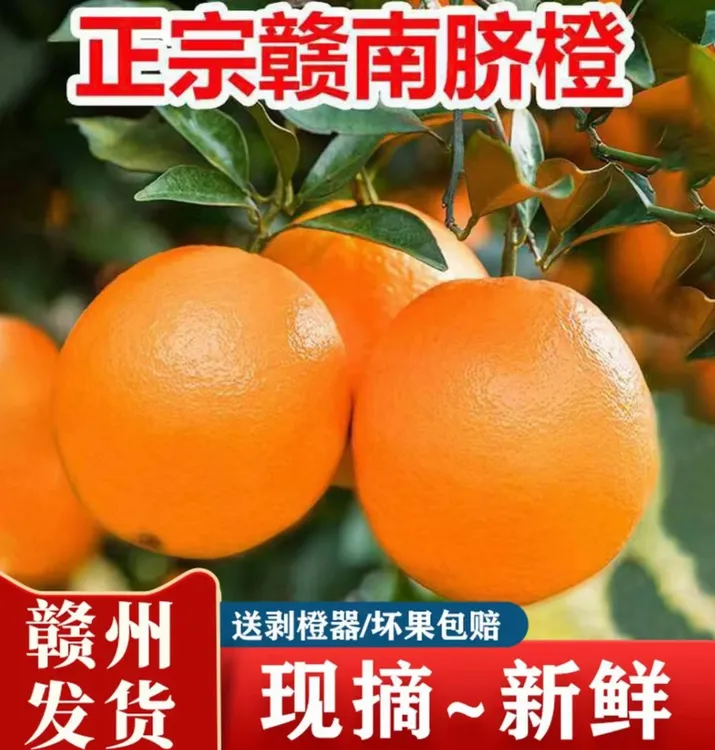 正宗赣南脐橙现摘现发应季水果香甜多汁产地直发