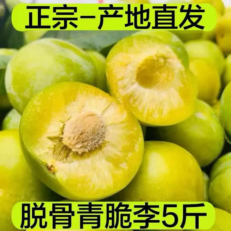 四川正宗青脆李脱骨李当季脆甜新鲜现摘现发整箱5四川青脆李