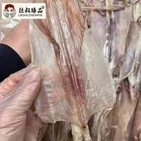 【顺德拉叔臻品】船吊鱿鱼干 8-10头 500g