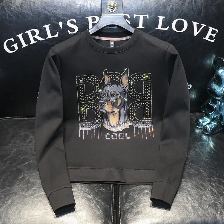 ECLONIAFON/埃卢涅芬潮流印花卫衣男士秋冬季套头圆领大码打底衫