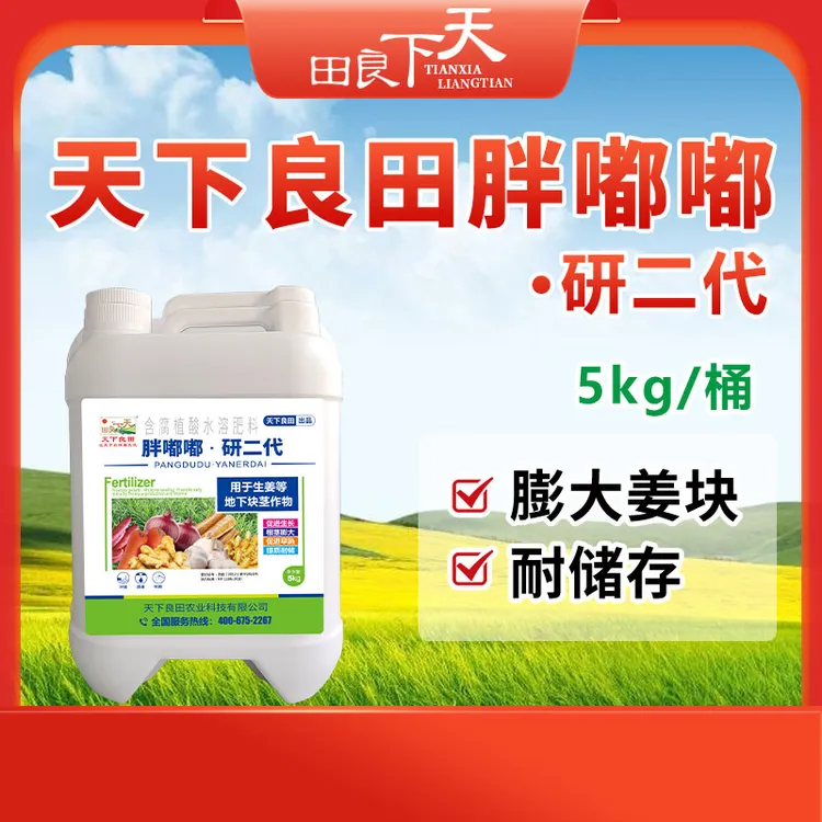天下良田胖嘟嘟 研二代 冲施 促块茎作物膨大 5kg/桶  膨大肥料