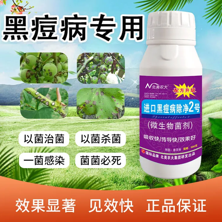 黑痘病专用杀菌剂茄子葡萄提子阳光玫瑰黑痘病防控微生物叶面肥