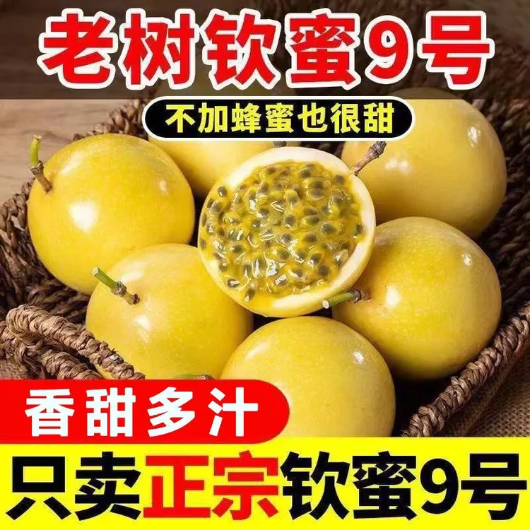 现摘新鲜钦蜜9号百香果香甜多汁营养健康孕妇水果